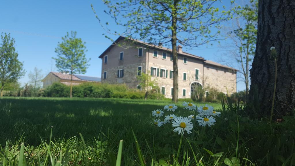 Agriturismo Il Brugnolo Villa Scandiano Kültér fotó