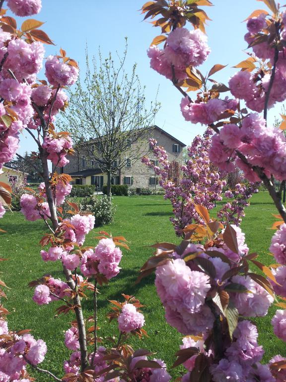 Agriturismo Il Brugnolo Scandiano Kültér fotó