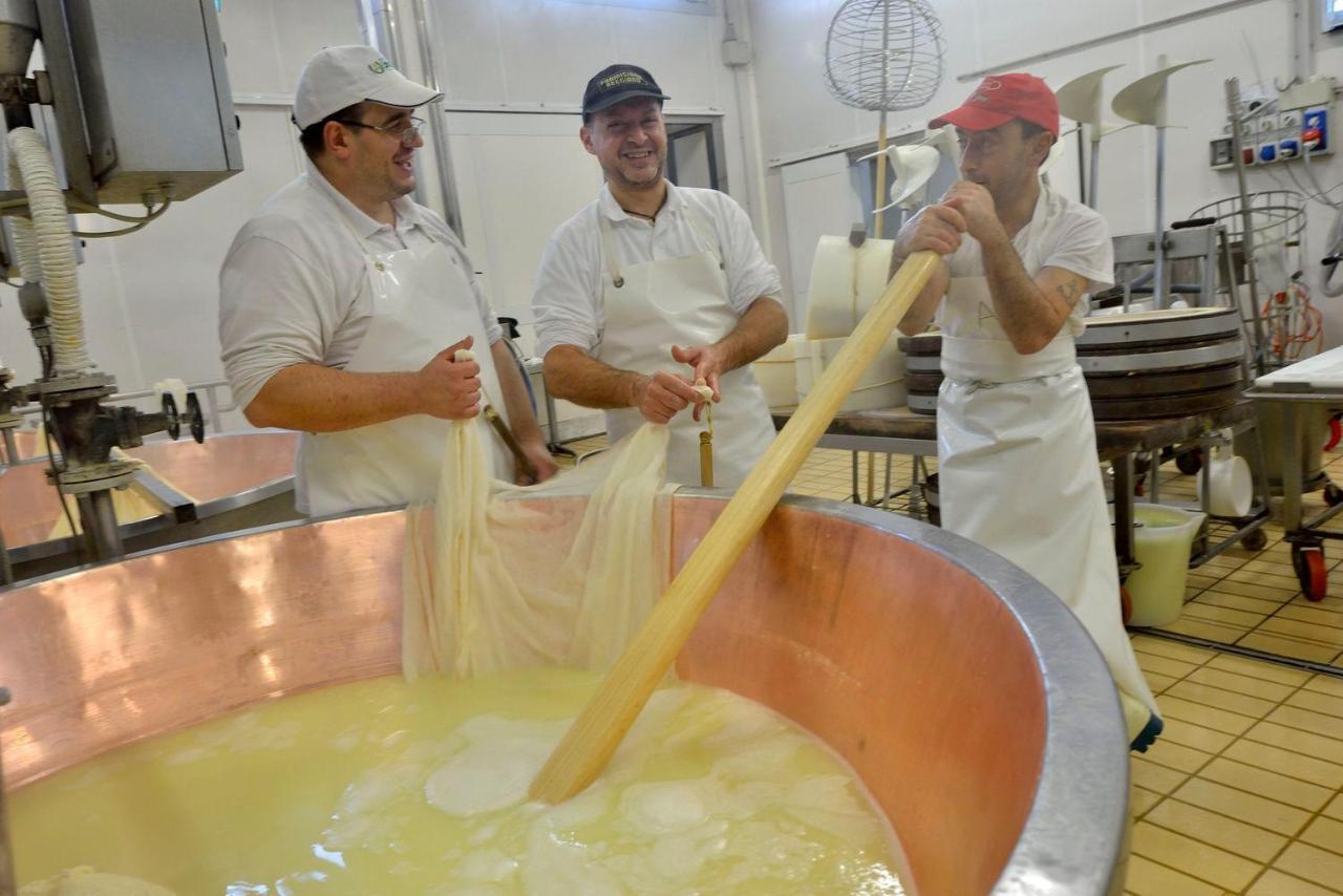 Agriturismo Il Brugnolo Scandiano Kültér fotó